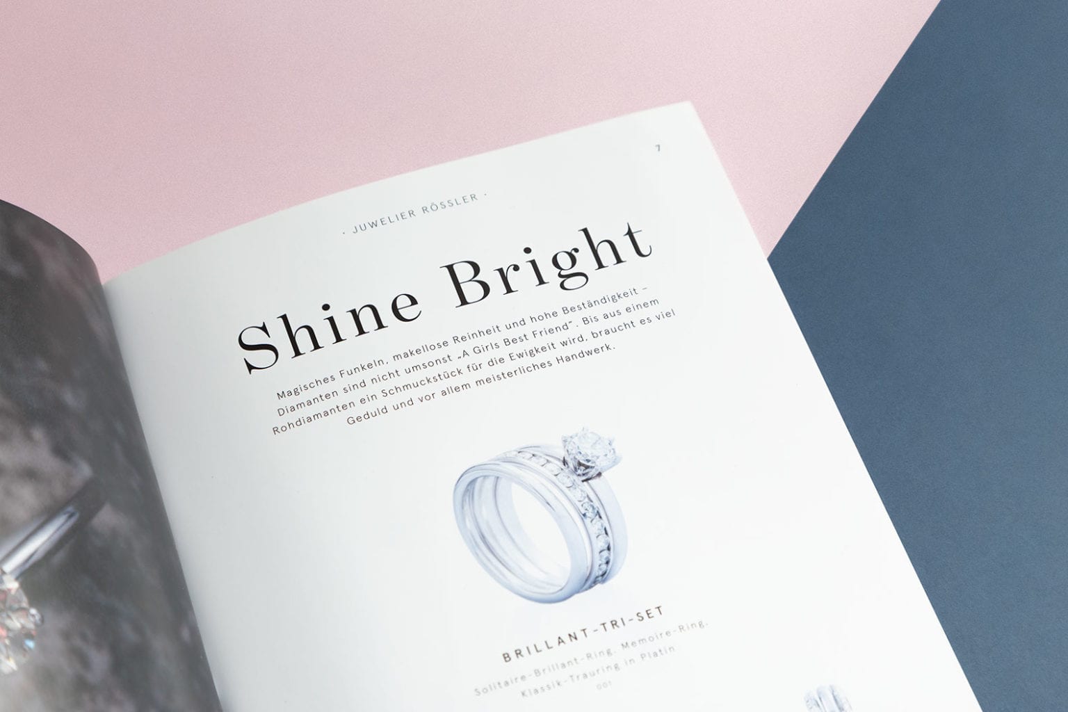 Roessler Naturschoenheiten Katalog Editorial Design